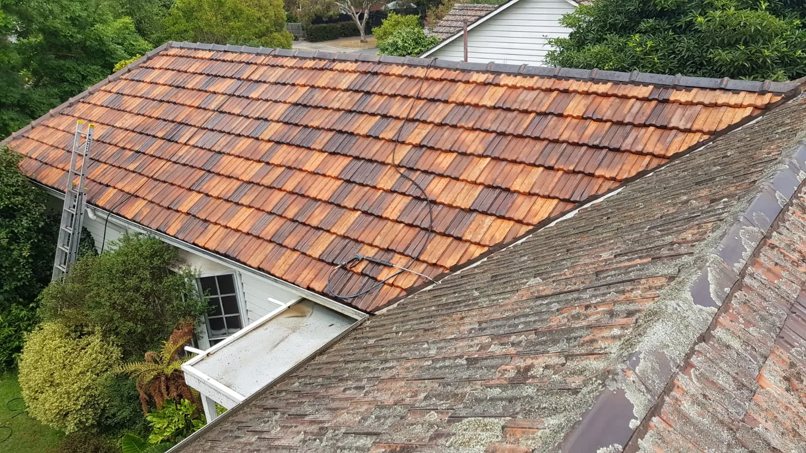 Adjoining terracotta tiled roof areas showing different surface conditions